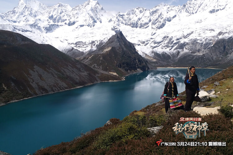 里程碑夜！辽宁本钢复出首秀，欧超杯今晨刷纪录，态度坚定，团队化学反应显著的简单介绍